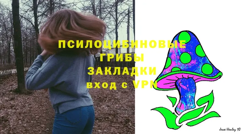 Галлюциногенные грибы Magic Shrooms  Всеволожск 